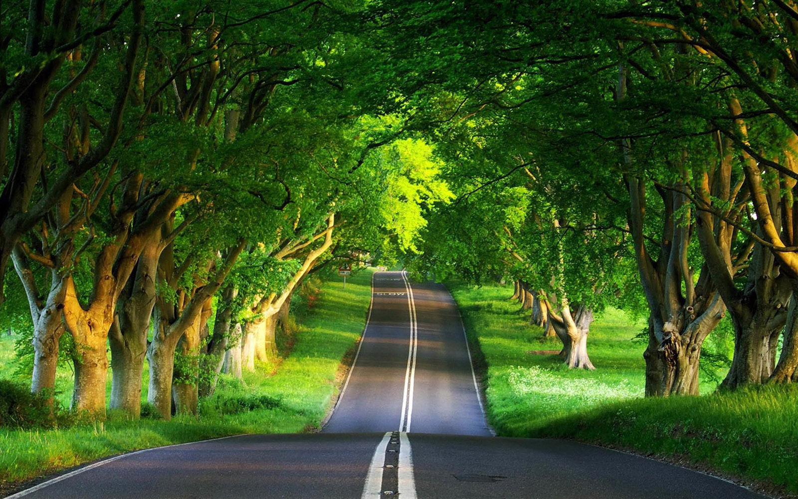 test-img