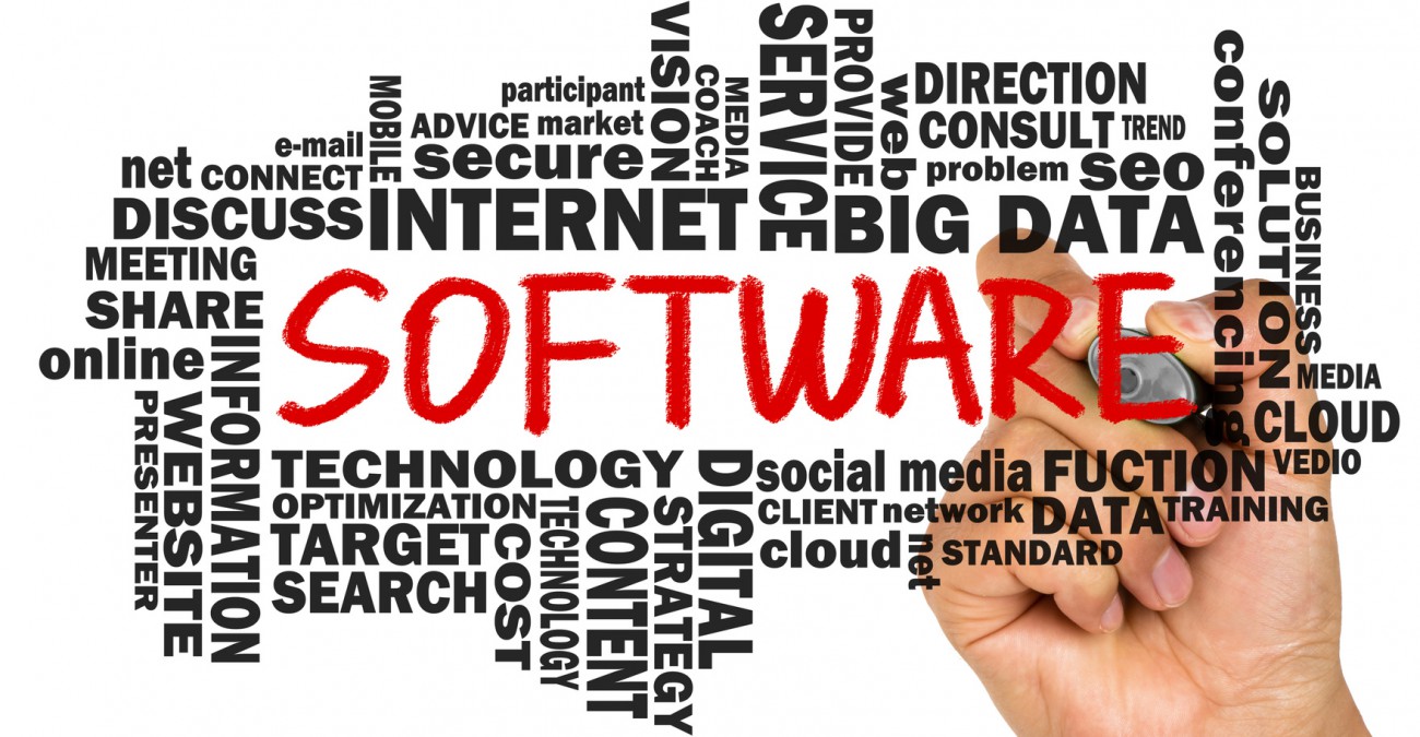 Software development